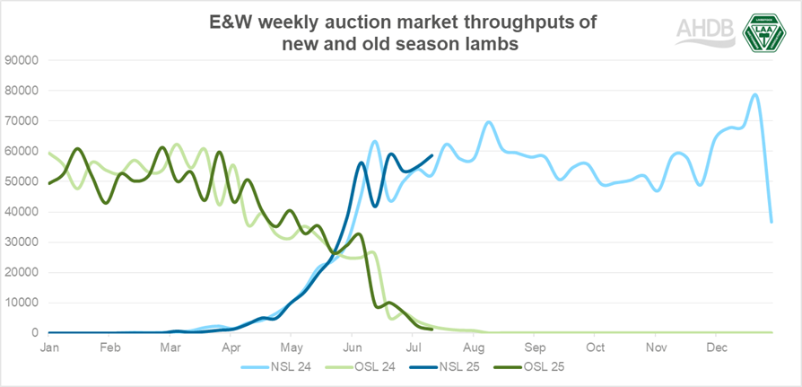 LAA liveweight sheep throughputs
